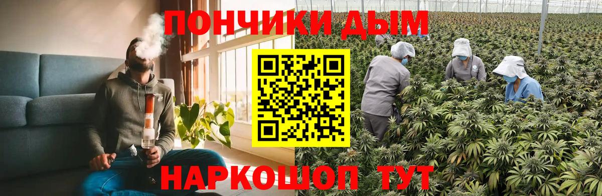 Бошки Шишки марихуана Ликино-Дулёво